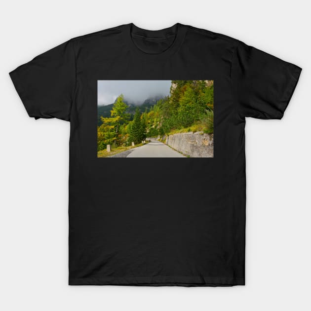 Autumn on the Slopes of Mangrt T-Shirt by jojobob